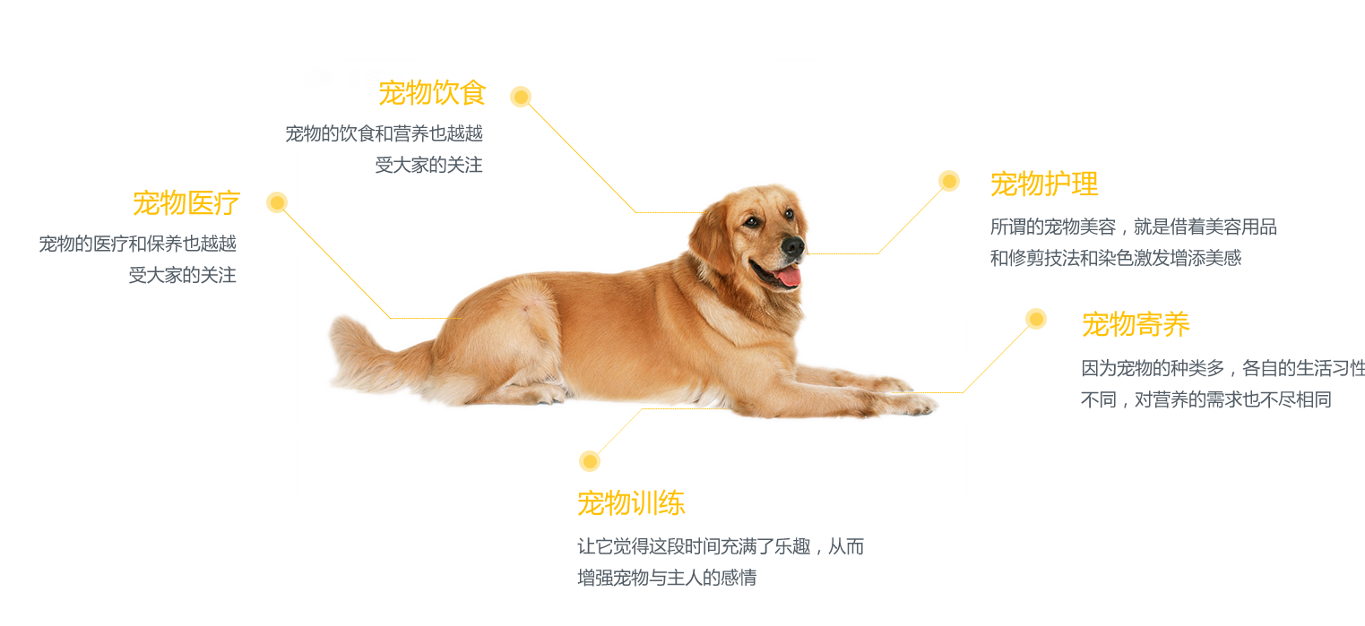 蚂蚁加速器vnp-老王vp官网